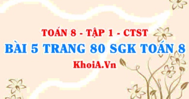 Bài 5 trang 80 SGK Toán 8 Tập 1 Chân trời sáng tạo